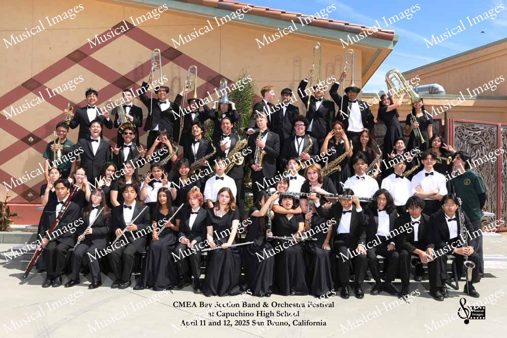 Musical Images